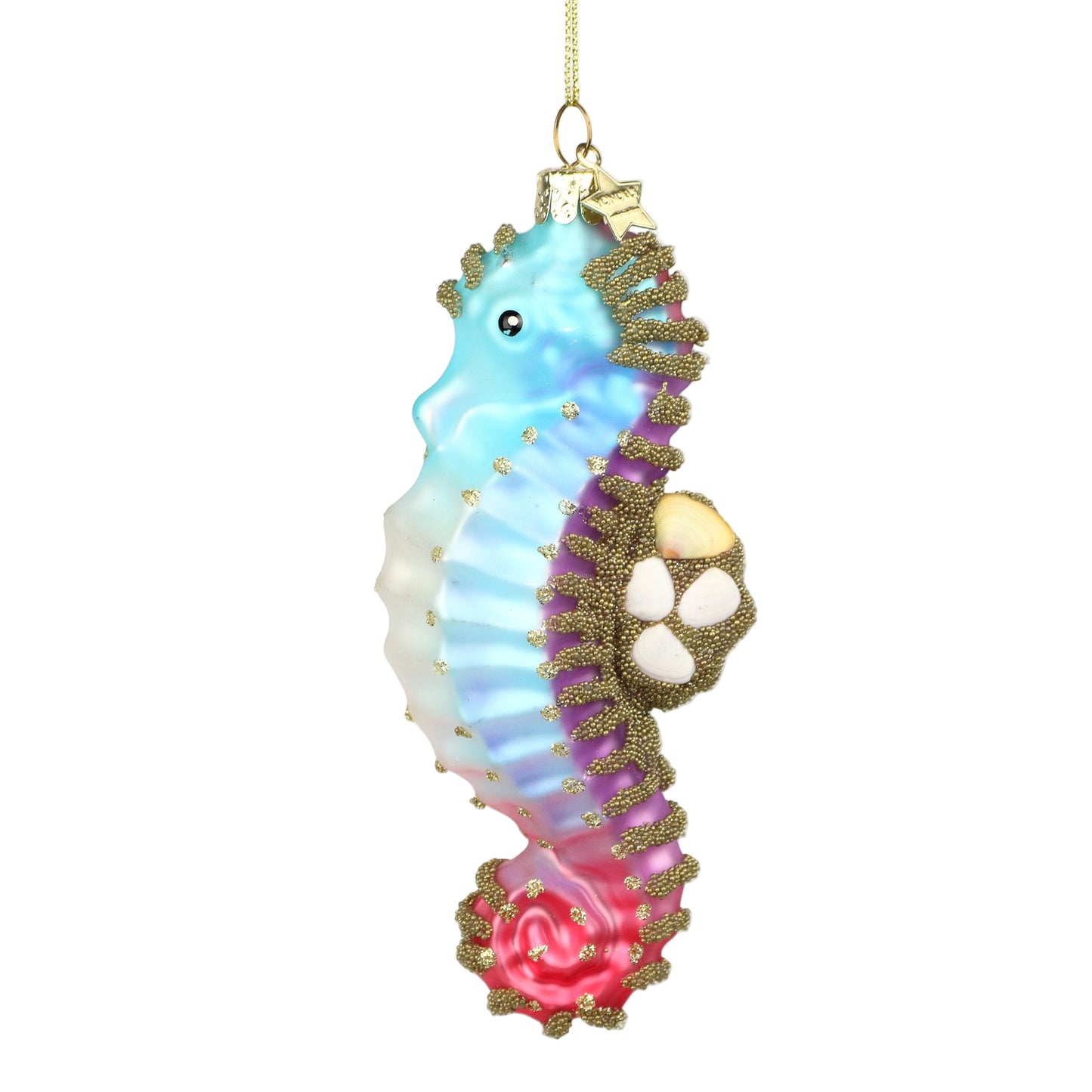 Rainbow Seahorse