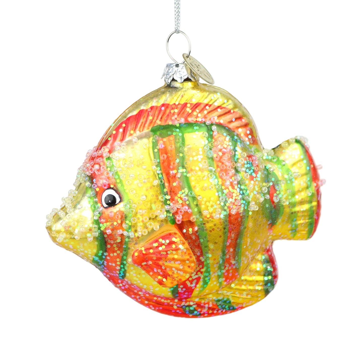 Golden Rainbow Fish
