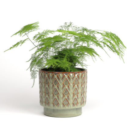 Fern Arrowhead Cylinder