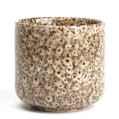 Tortilla Frogspawn Cylinder Large