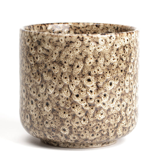 Tortilla Frogspawn Cylinder Large