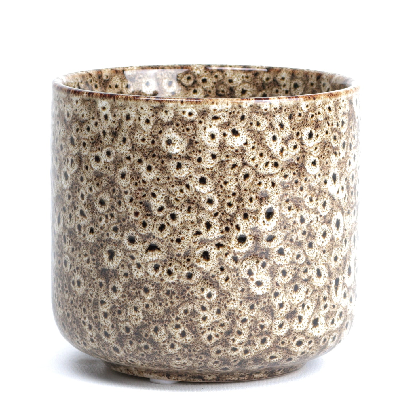 Tortilla Frogspawn Cylinder Small