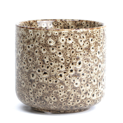 Tortilla Frogspawn Cylinder Small