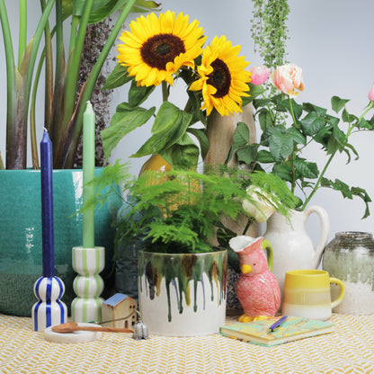 Dipped Paint Planter