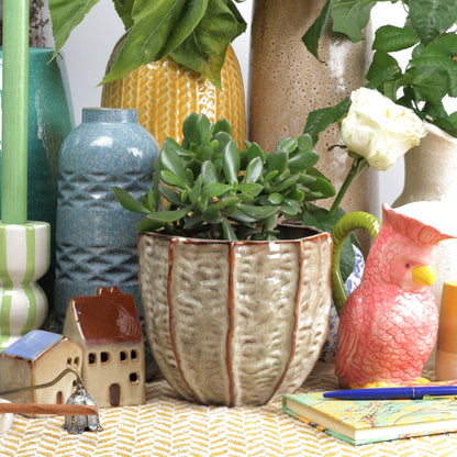 Clam Cone Large MISSING MEASUREMENTS