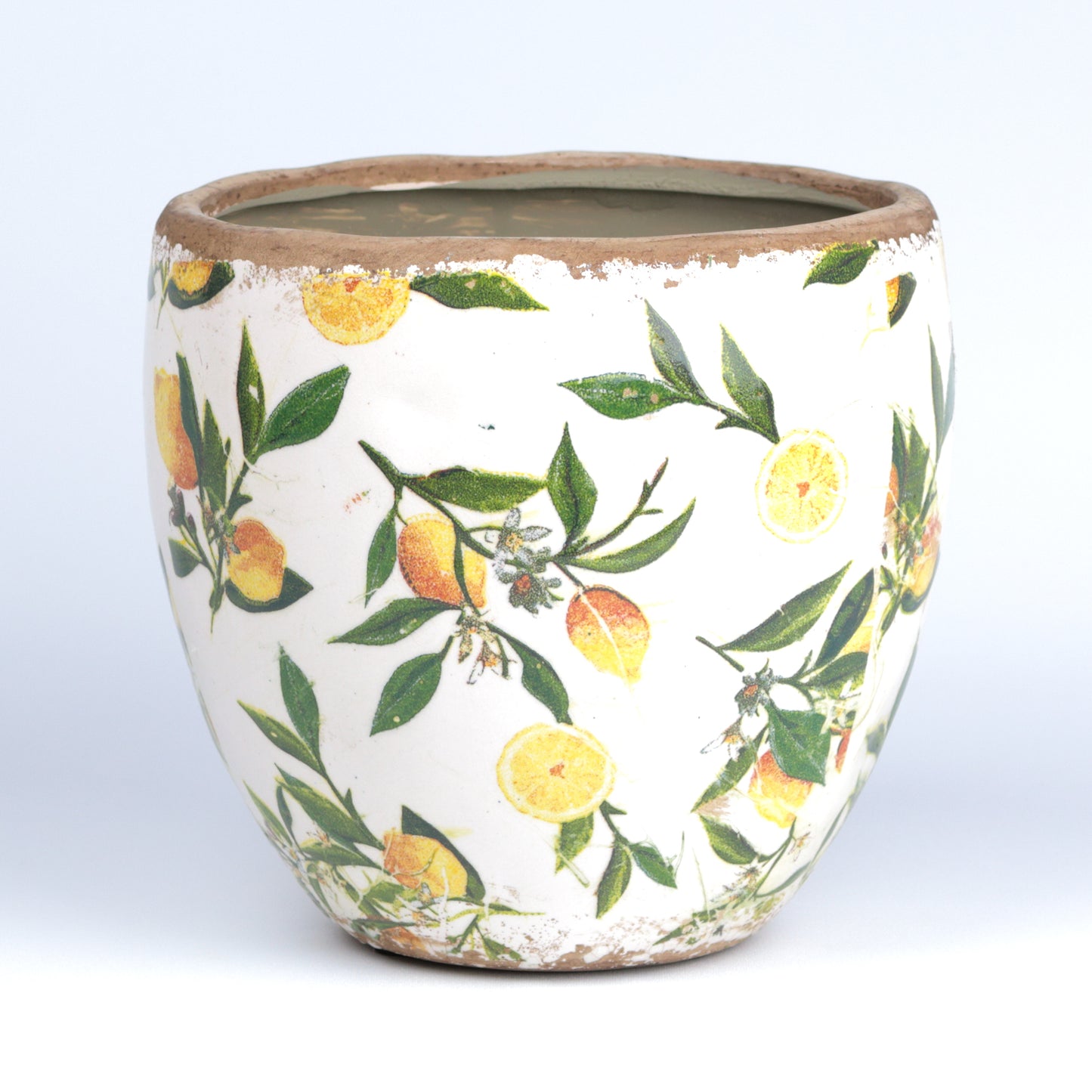 Lemon Branch Cone MISSING SCENE