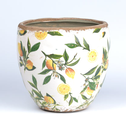 Lemon Branch Cone MISSING SCENE