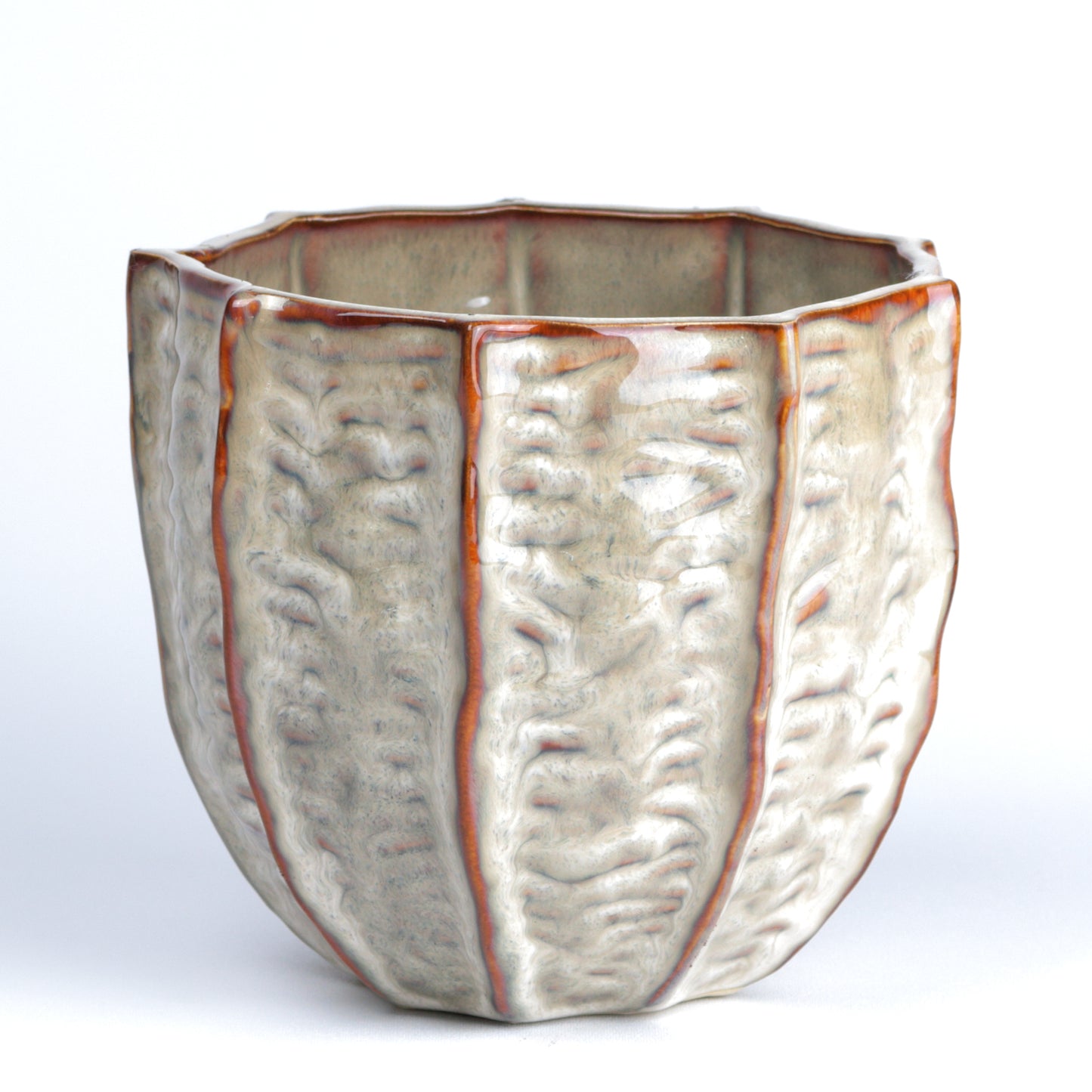 Clam Cone Large MISSING MEASUREMENTS