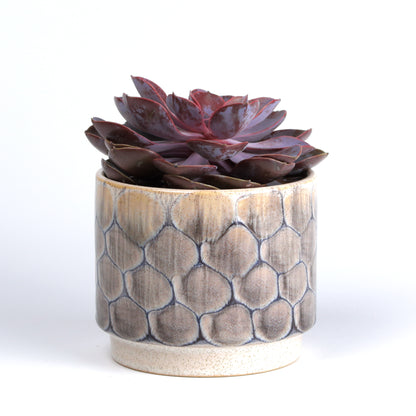 Grey Scaly Planter Small
