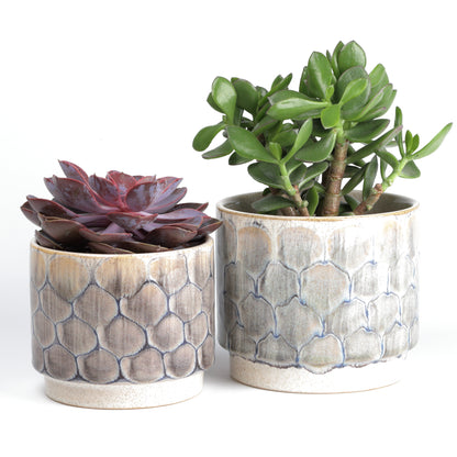 Grey Scaly Planter
