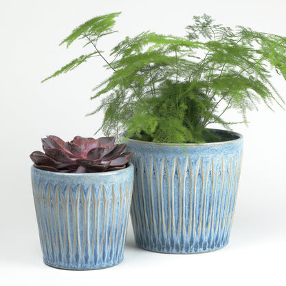 Azure finned cone small