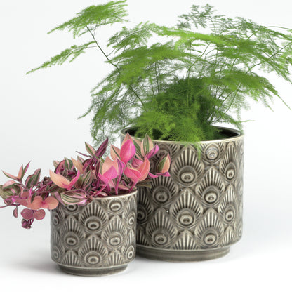 Taupe peacock planter Small MISSING MAIN PHOTO