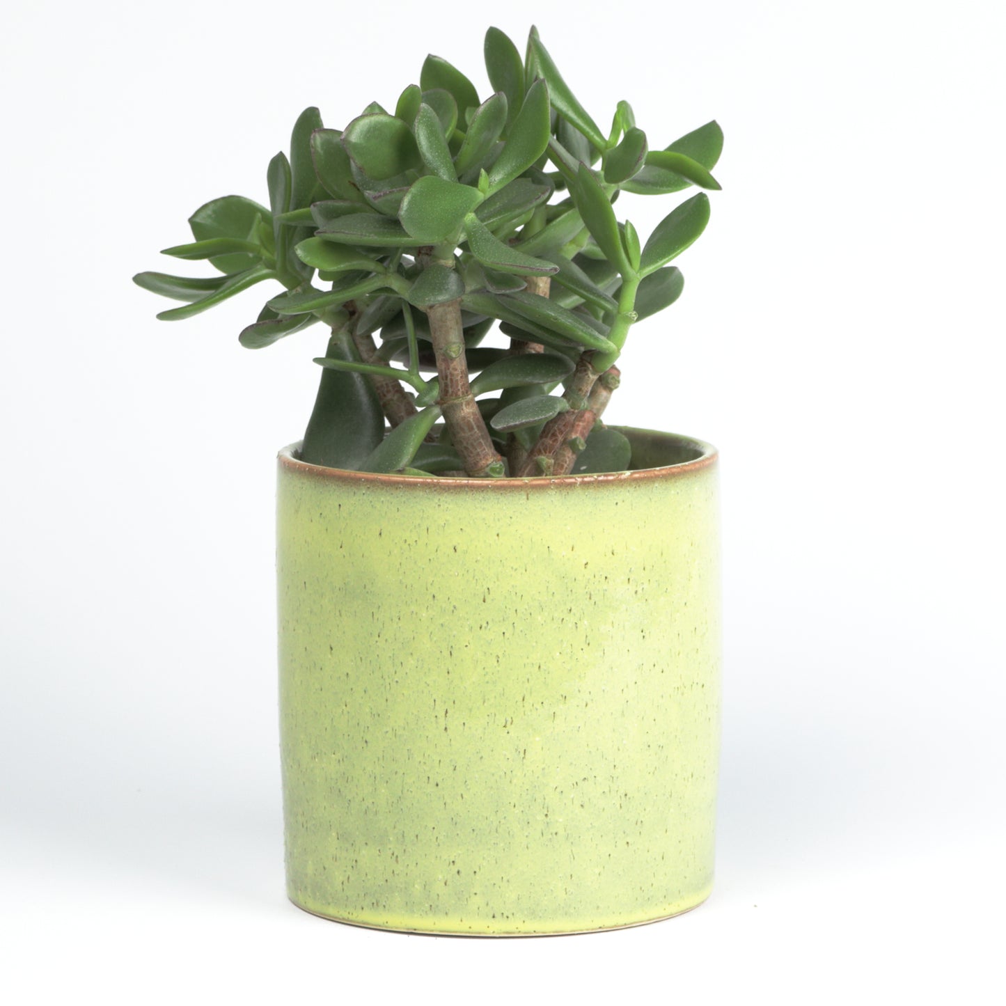 Summer green cylinder