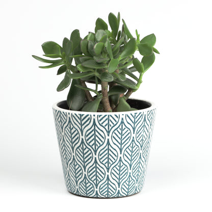 Structured Leaf Cone