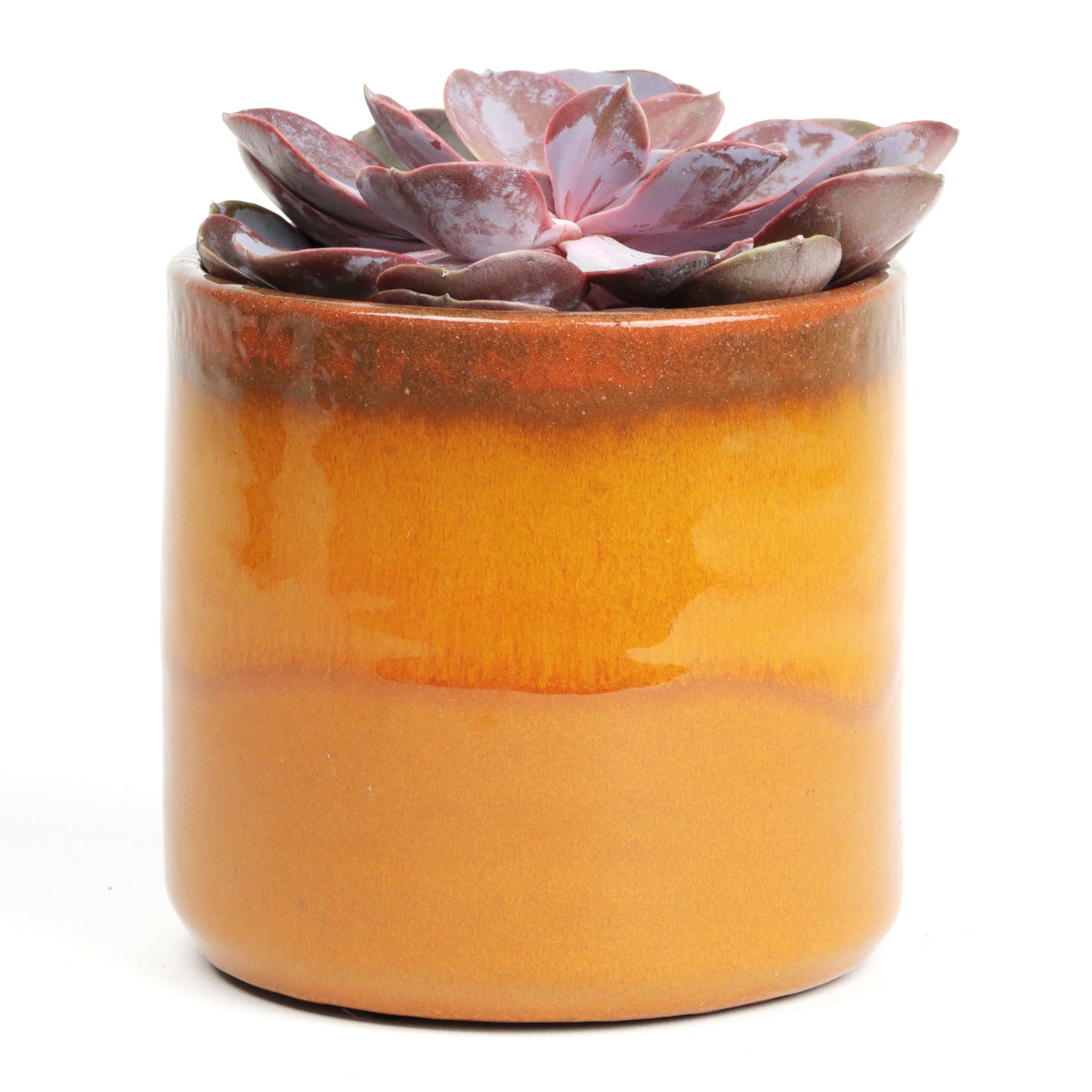 Amber sunset small MISING SCENE PHOTO