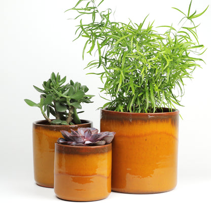 Amber sunset medium MISING SCENE PHOTO