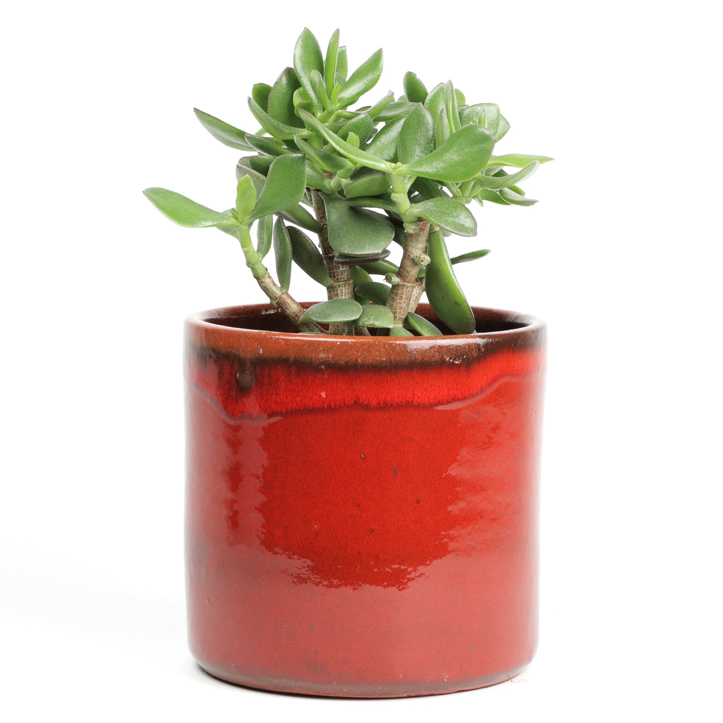 Red sunset medium MISING SCENE PHOTO