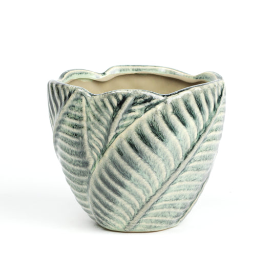 Jungle foliage medium