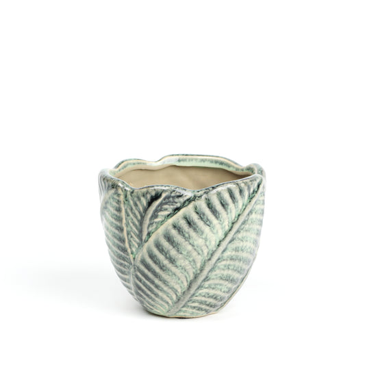 Jungle foliage MISSING SCENE