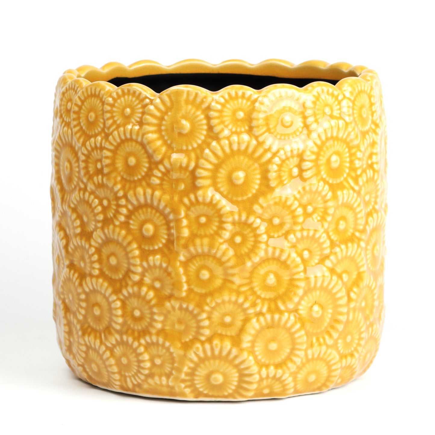 Sunshine Daisy - maybe large?