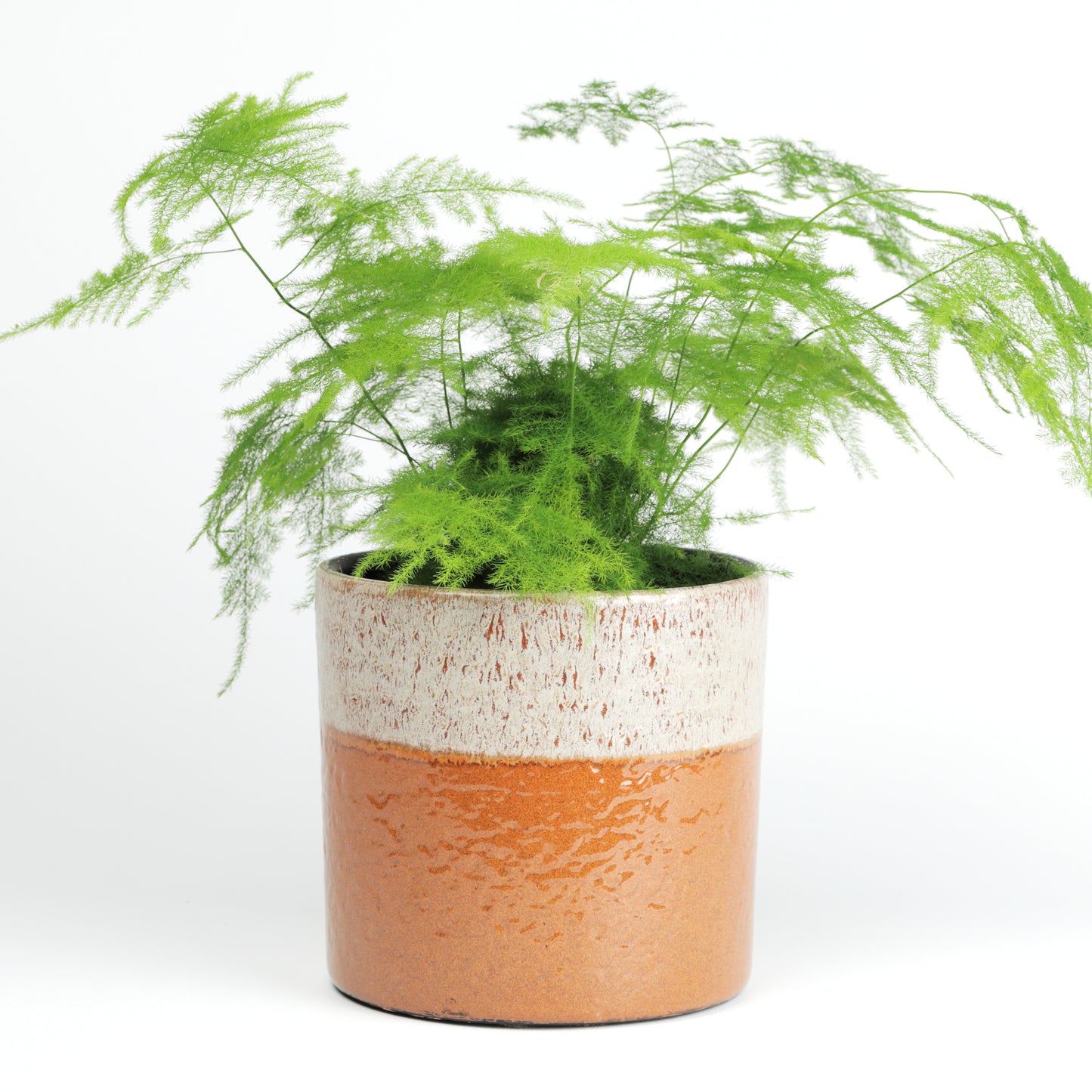 Pint Cylinder - missing measurements