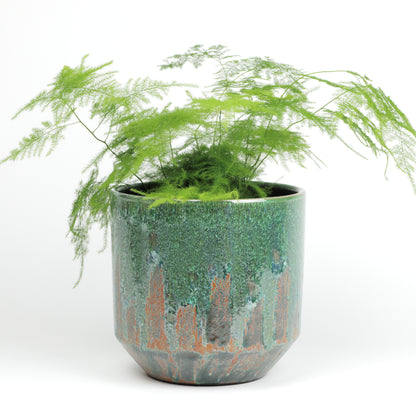 Forest Green Tapered Pot Small