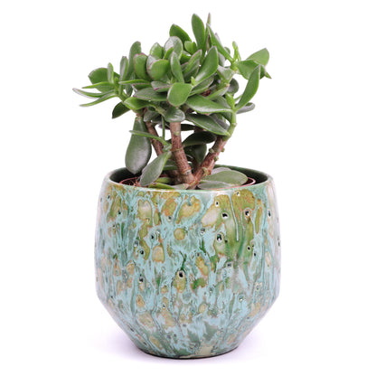 Marbled Emerald Planter Small