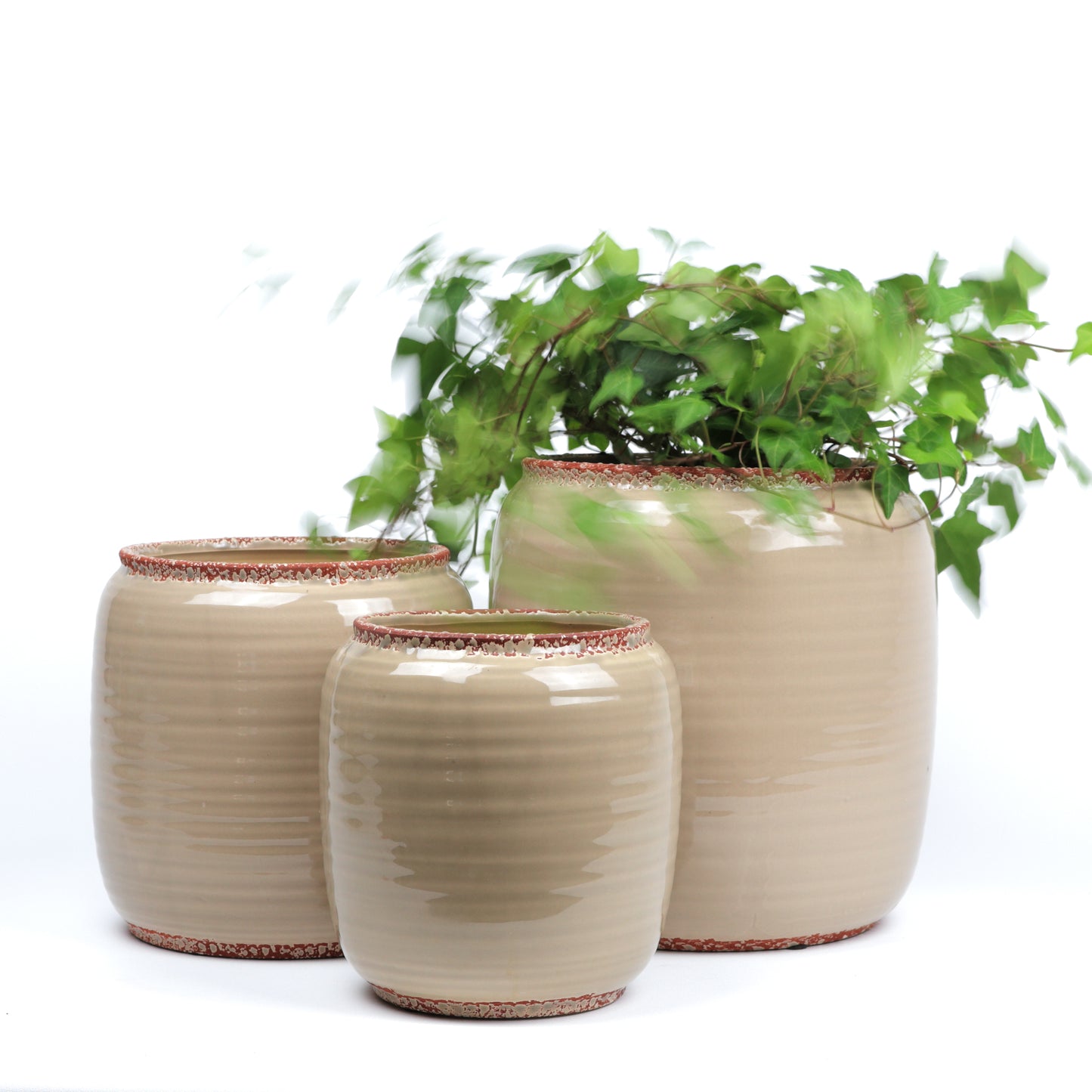 Tawny Planter Small
