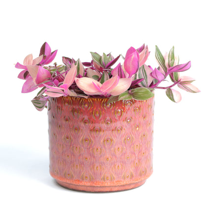 Strawberry Cylinder Small