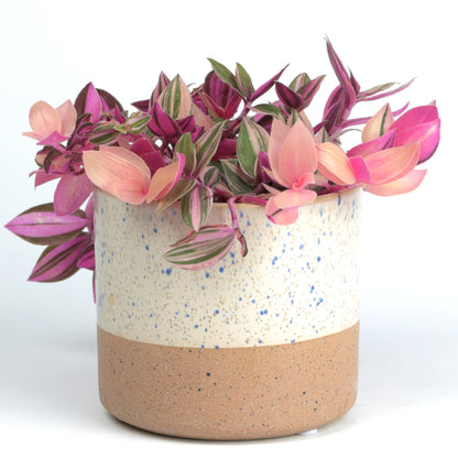 Modern White Cylinder