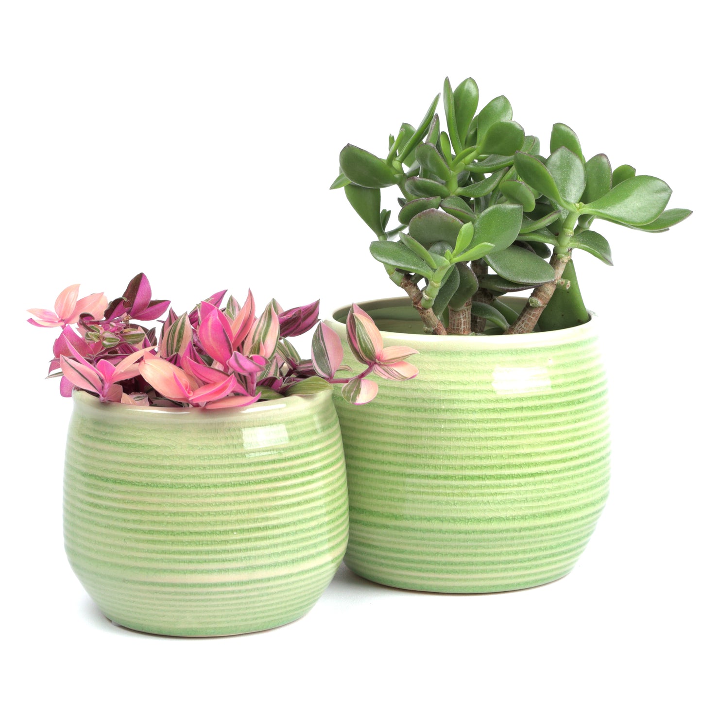 Concentric Sage Planter