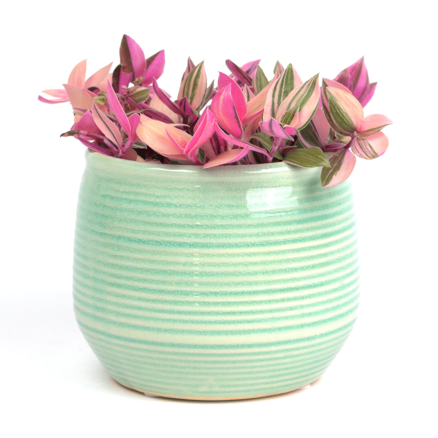 Concentric Ice Planter