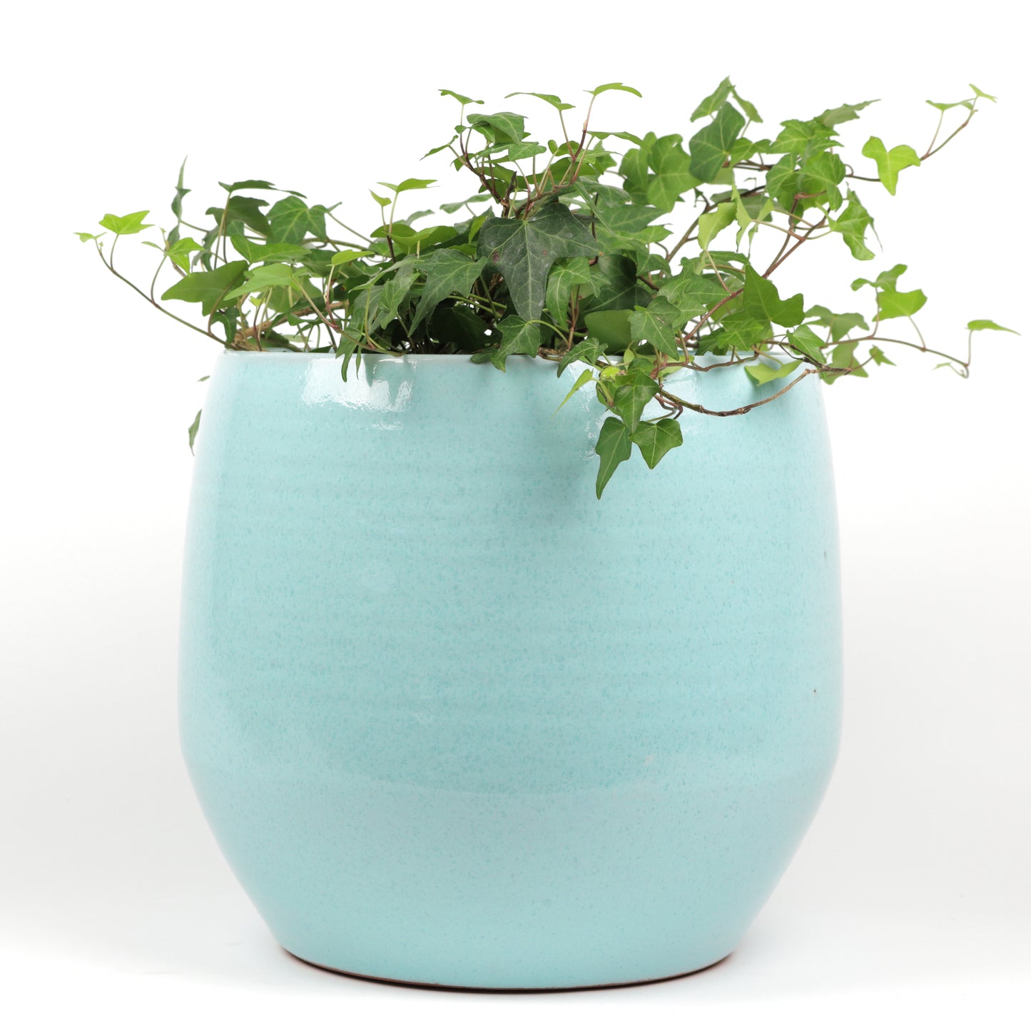 Baby Blue Cylinder Large