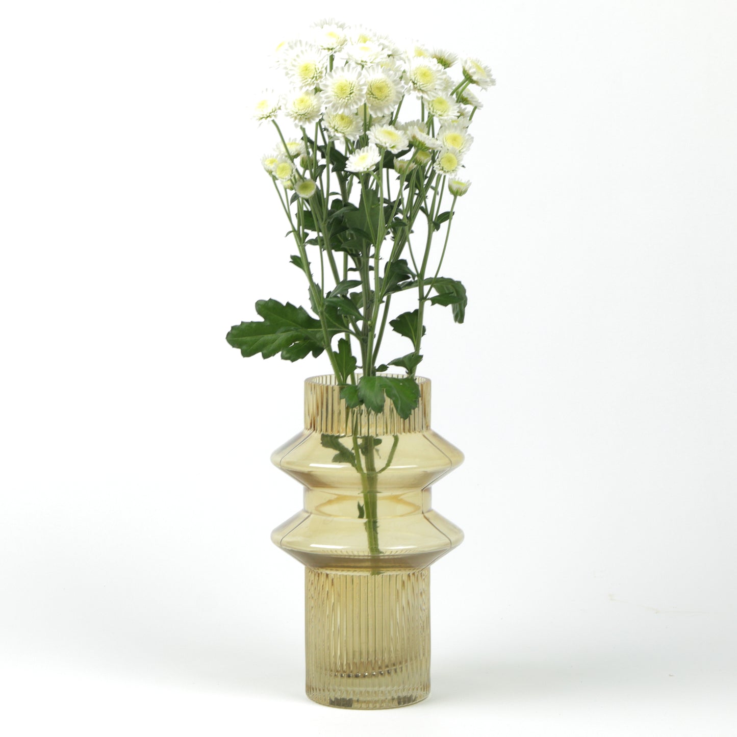 Tan Double Ringed Cylinder NEED PICTURE WITH OTHER TYPE