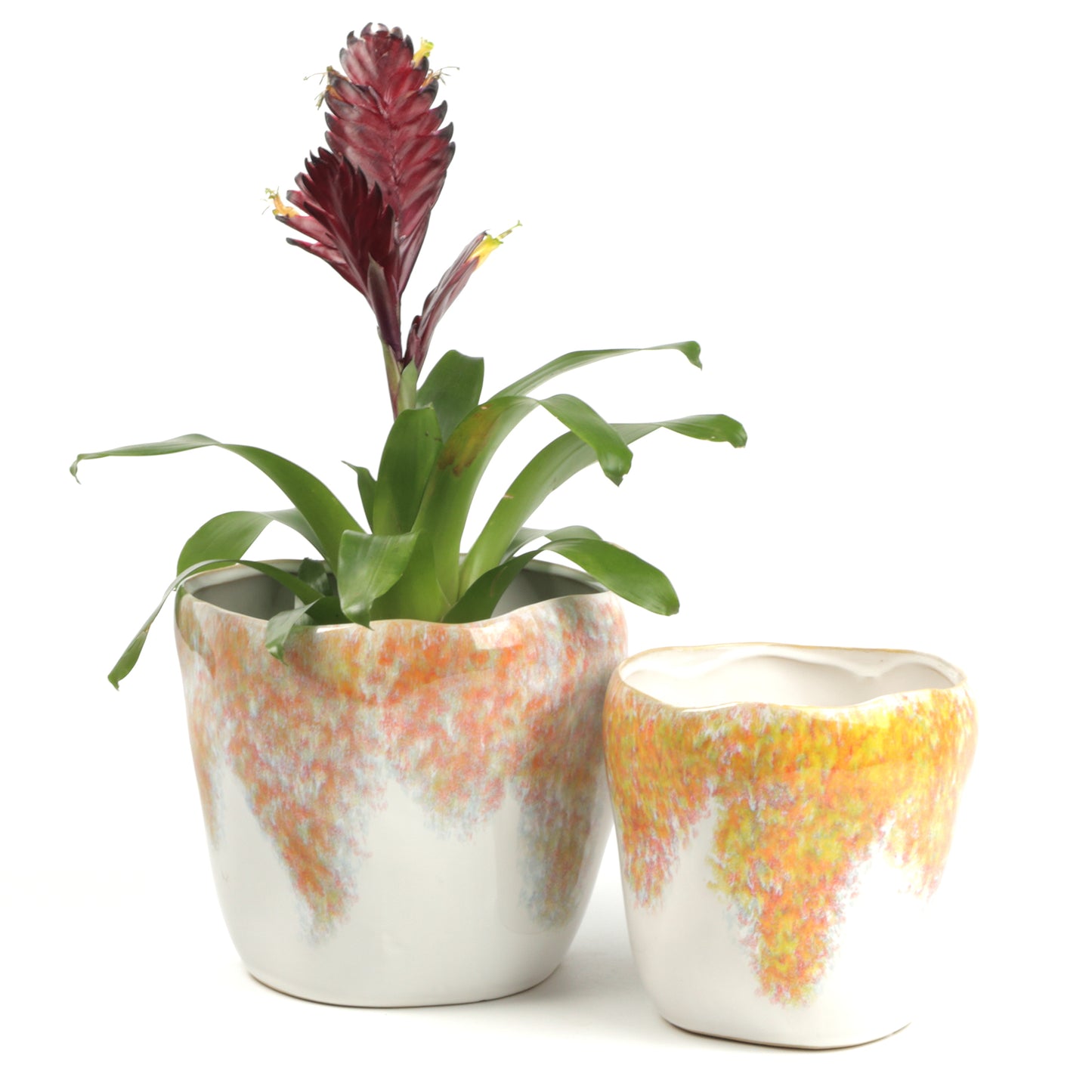 Summer Shrub Pot Large