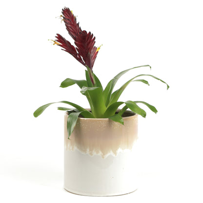 Hanging Cylinder Large