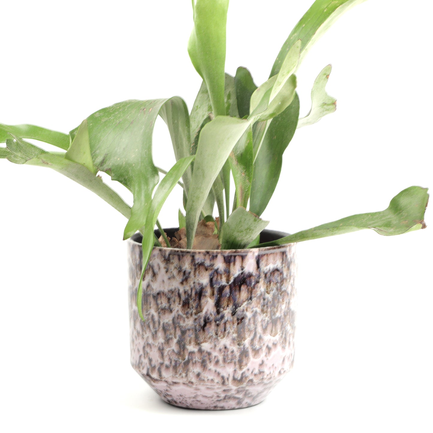 Granite Grain Cone Small