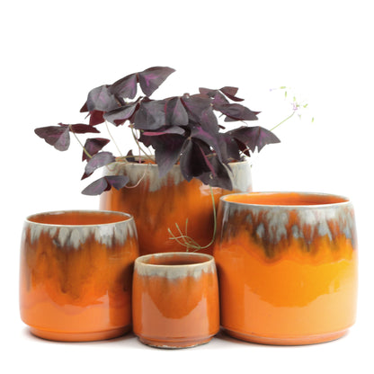 Apricot Cylinder Large