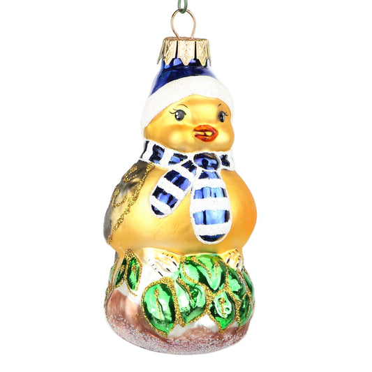 Winter Wear Duckling