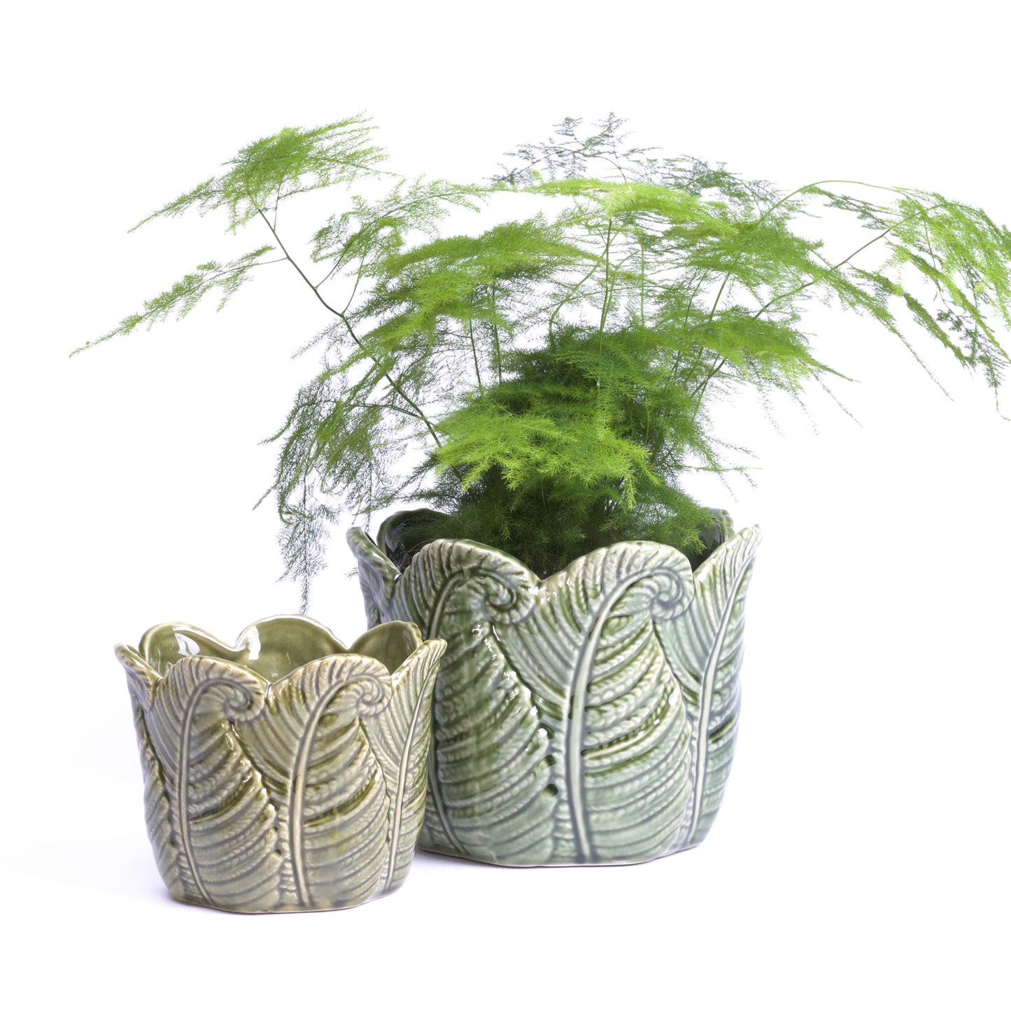 Fern Frond Flowerpot Large
